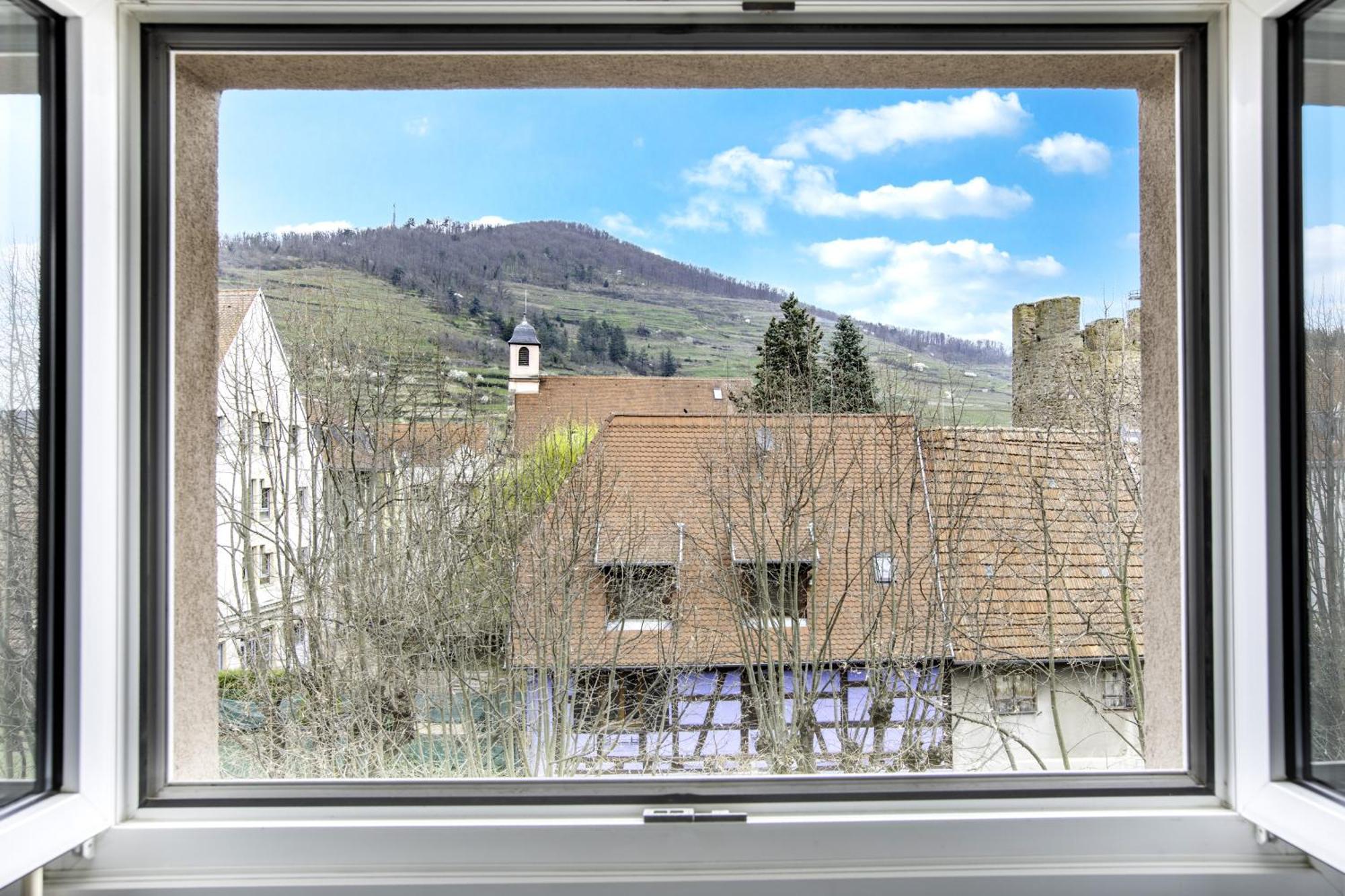 Choupette De La Vallee Avec Garage Kaysersberg-Vignoble Buitenkant foto